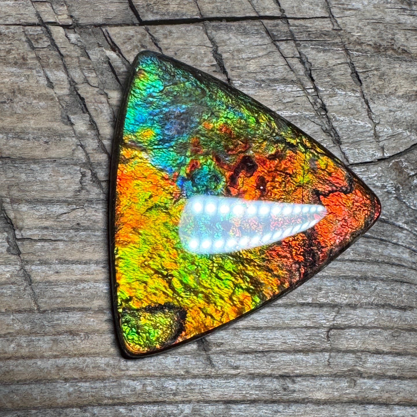 Multicoloured Ammolite Cabochon, Genuine Canadian Ammonite