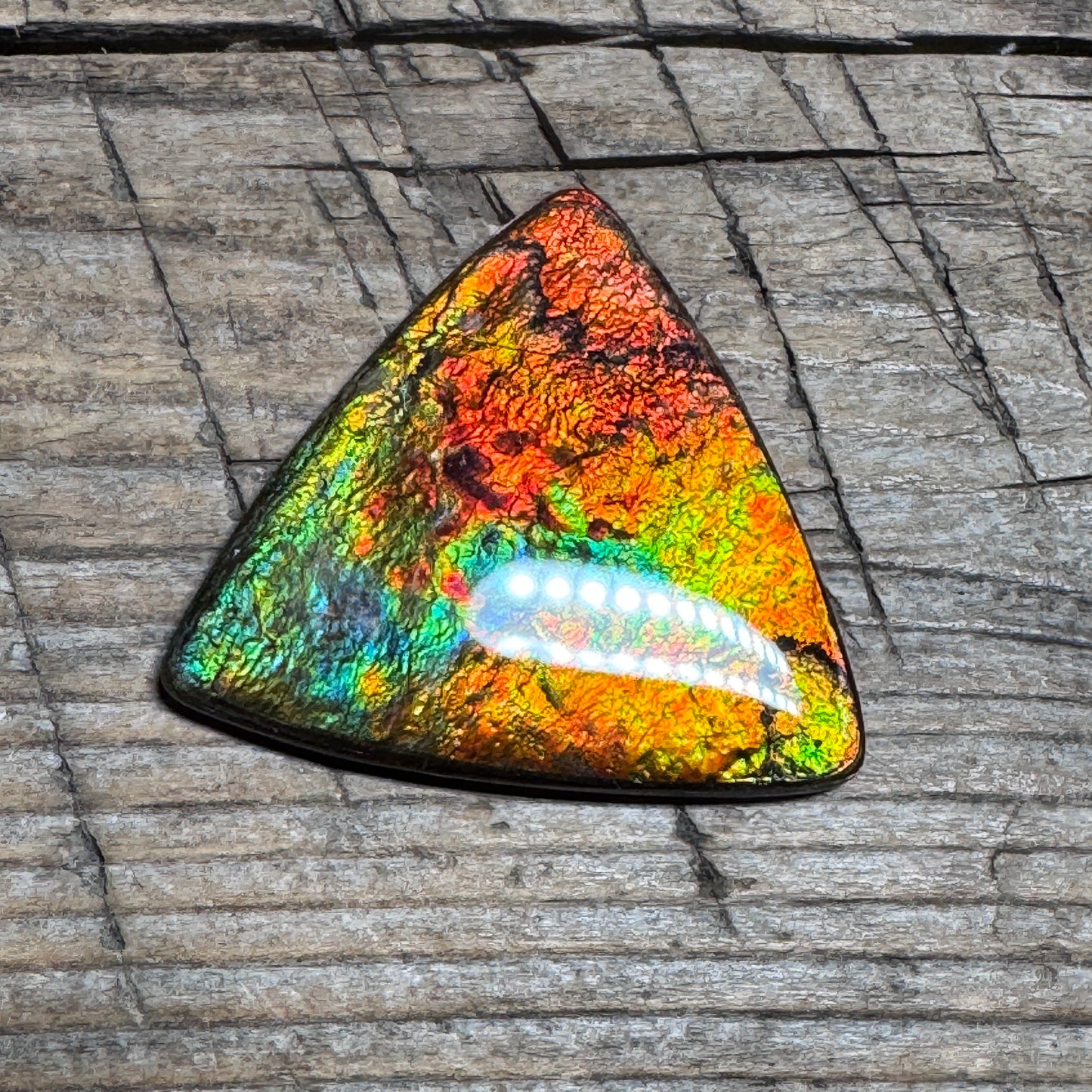 Multicoloured Ammolite Cabochon, Genuine Canadian Ammonite