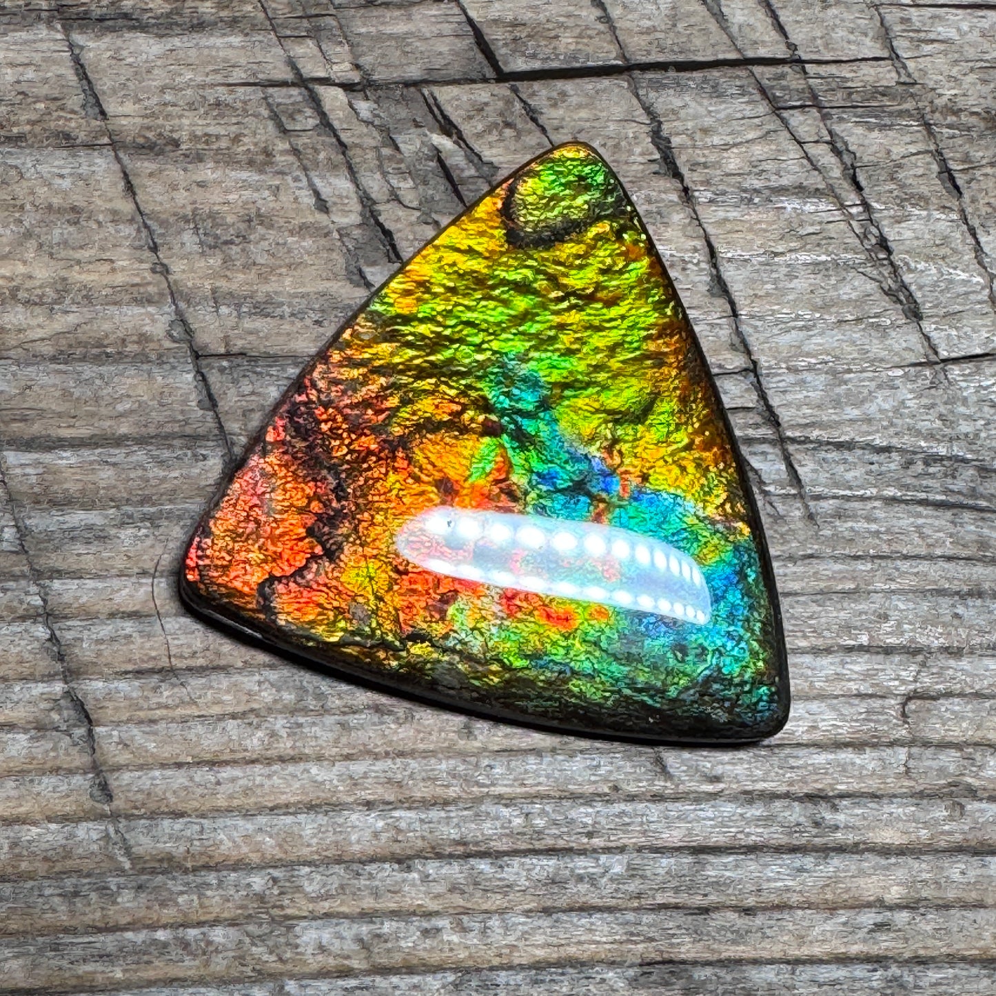 Multicoloured Ammolite Cabochon, Genuine Canadian Ammonite