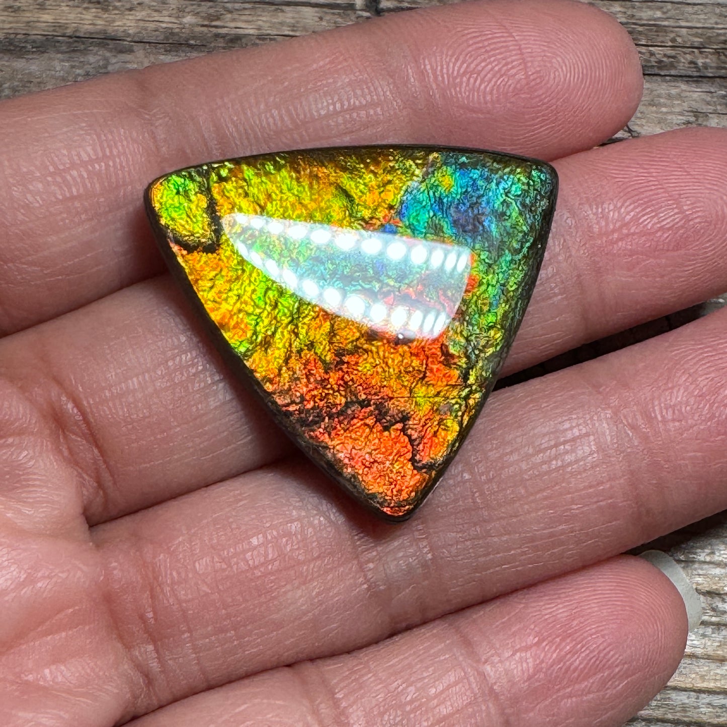 Multicoloured Ammolite Cabochon, Genuine Canadian Ammonite