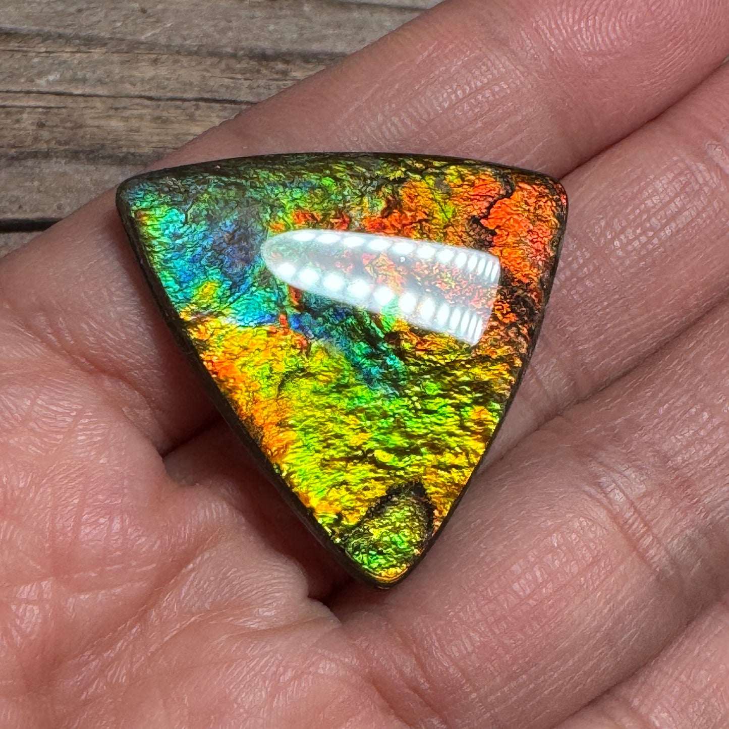 Multicoloured Ammolite Cabochon, Genuine Canadian Ammonite