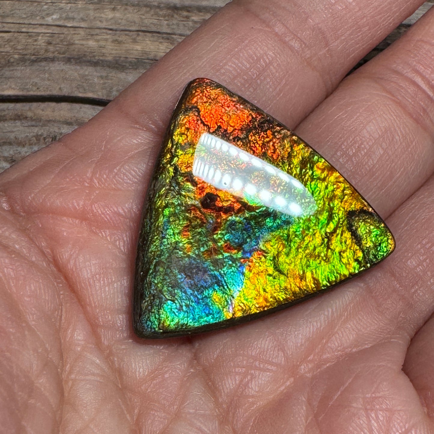 Multicoloured Ammolite Cabochon, Genuine Canadian Ammonite