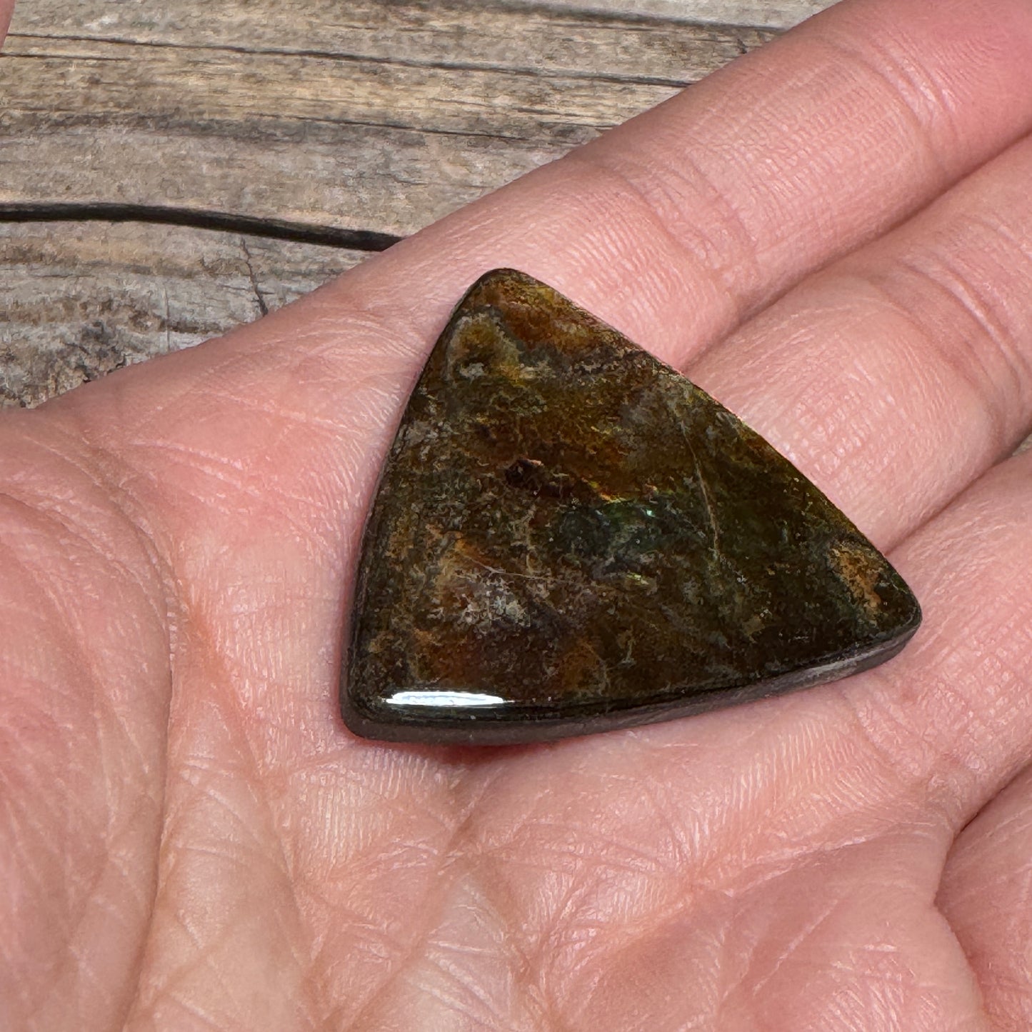Multicoloured Ammolite Cabochon, Genuine Canadian Ammonite