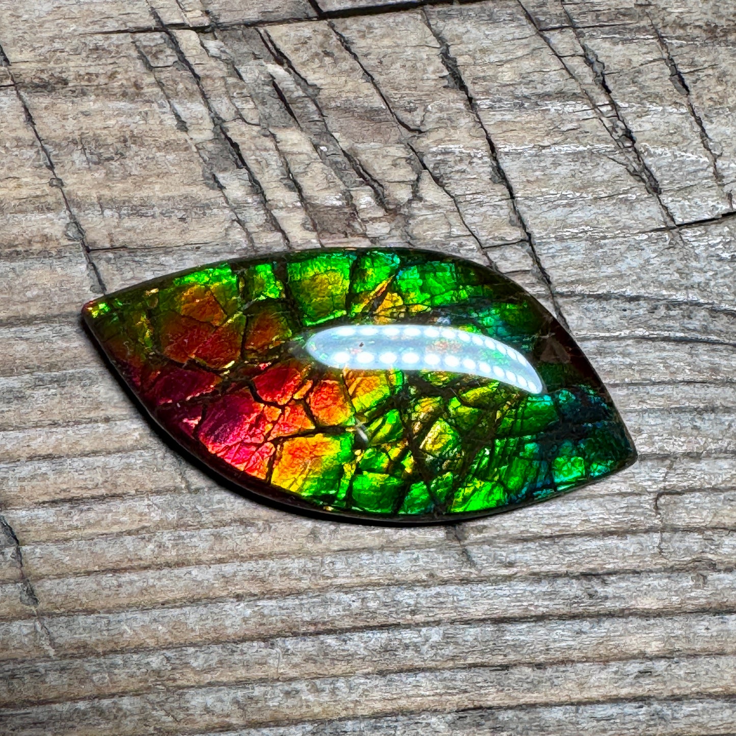 Multi-colored Ammolite Gemstone, Freeform Cabochon, Dragon Skin Pattern