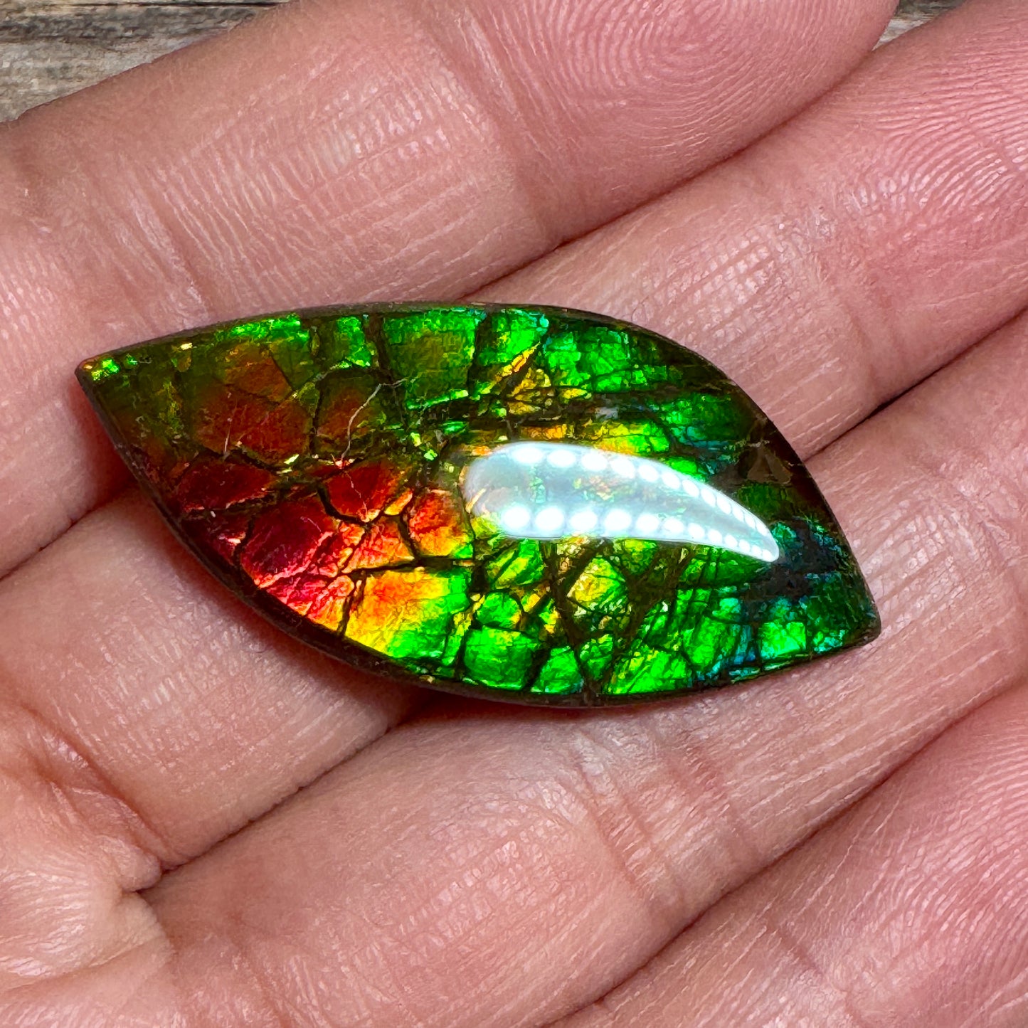 Multi-colored Ammolite Gemstone, Freeform Cabochon, Dragon Skin Pattern