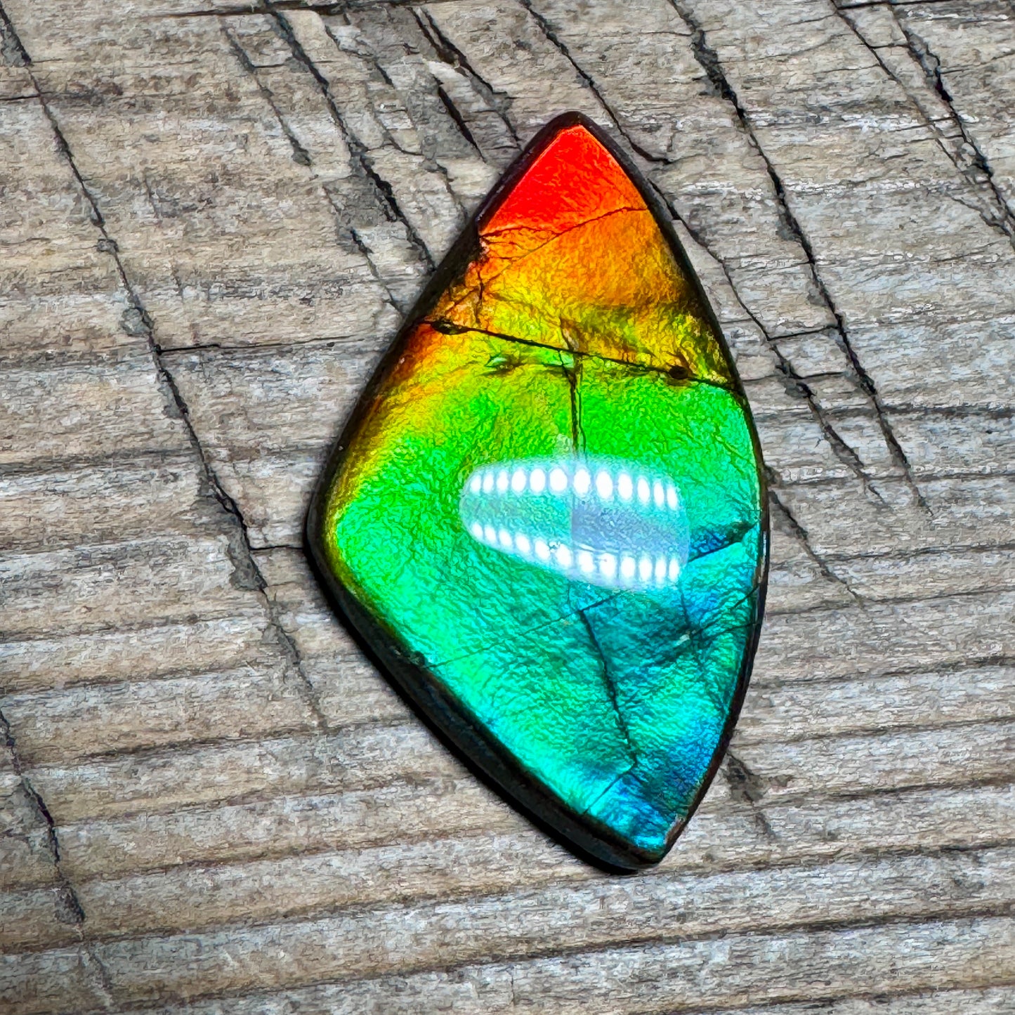 Rainbow Ammolite Freeform Cabochon Coated Natural