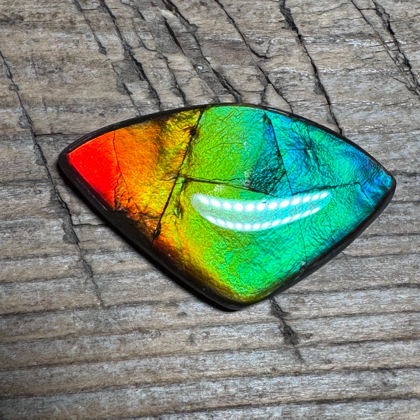 Rainbow Ammolite Freeform Cabochon Coated Natural