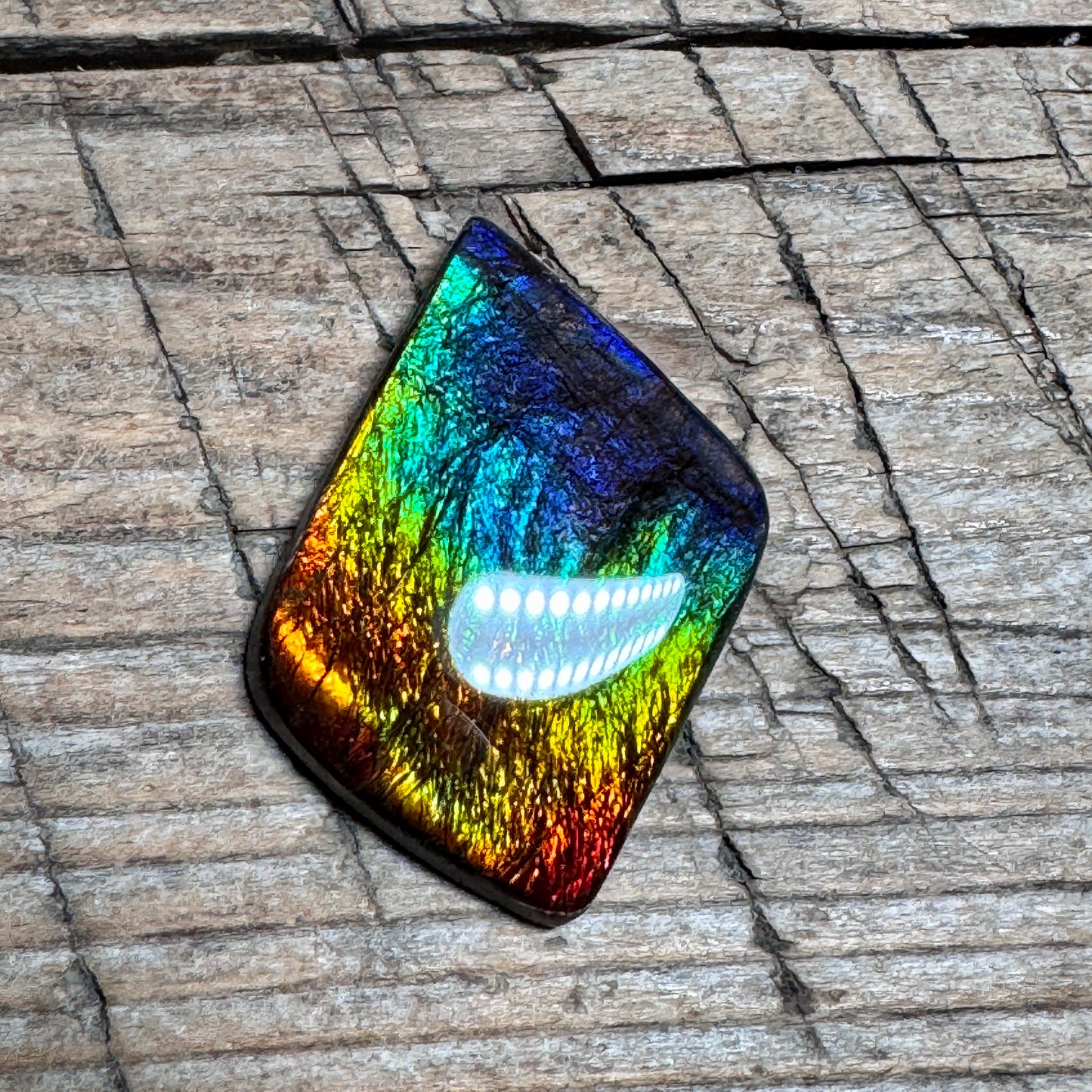 Rainbow Ammolite Freeform Cabochon Coated Natural