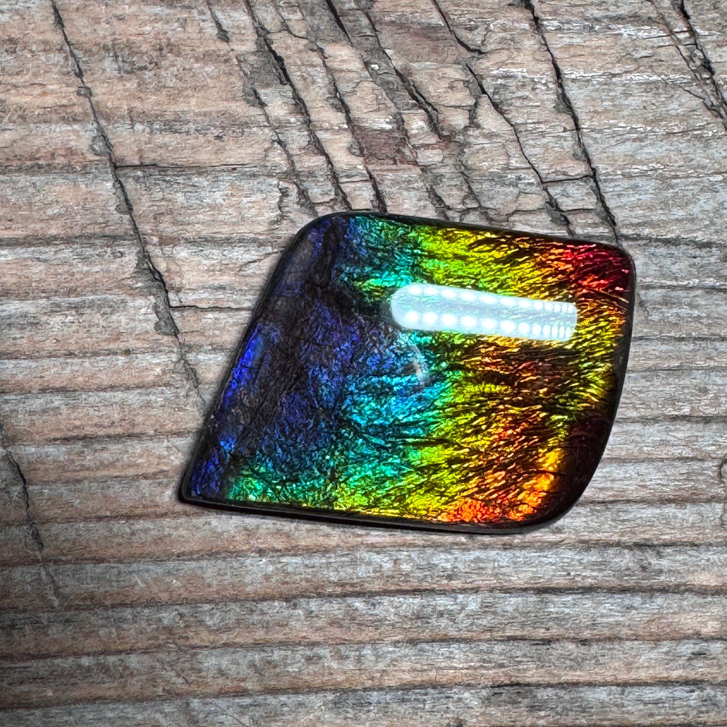 Rainbow Ammolite Freeform Cabochon Coated Natural