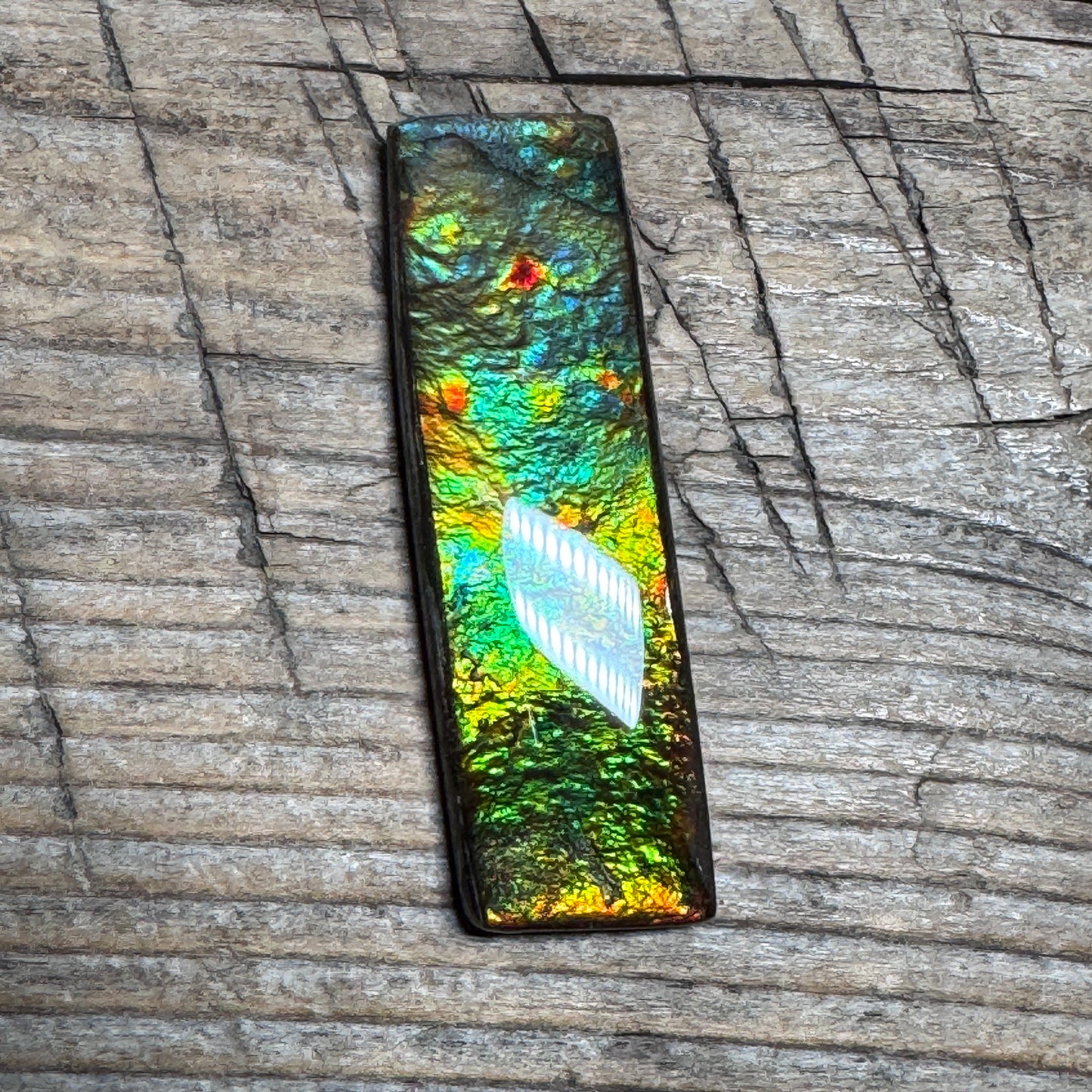 Multicoloured Rectangle Ammolite Cabochon, Genuine Canadian Ammonite