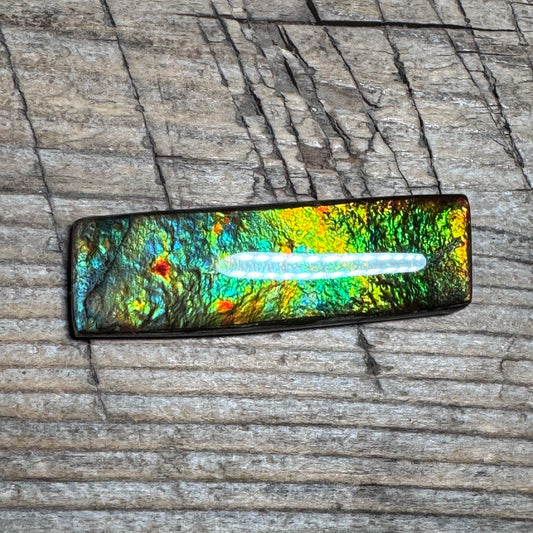 Multicoloured Rectangle Ammolite Cabochon, Genuine Canadian Ammonite