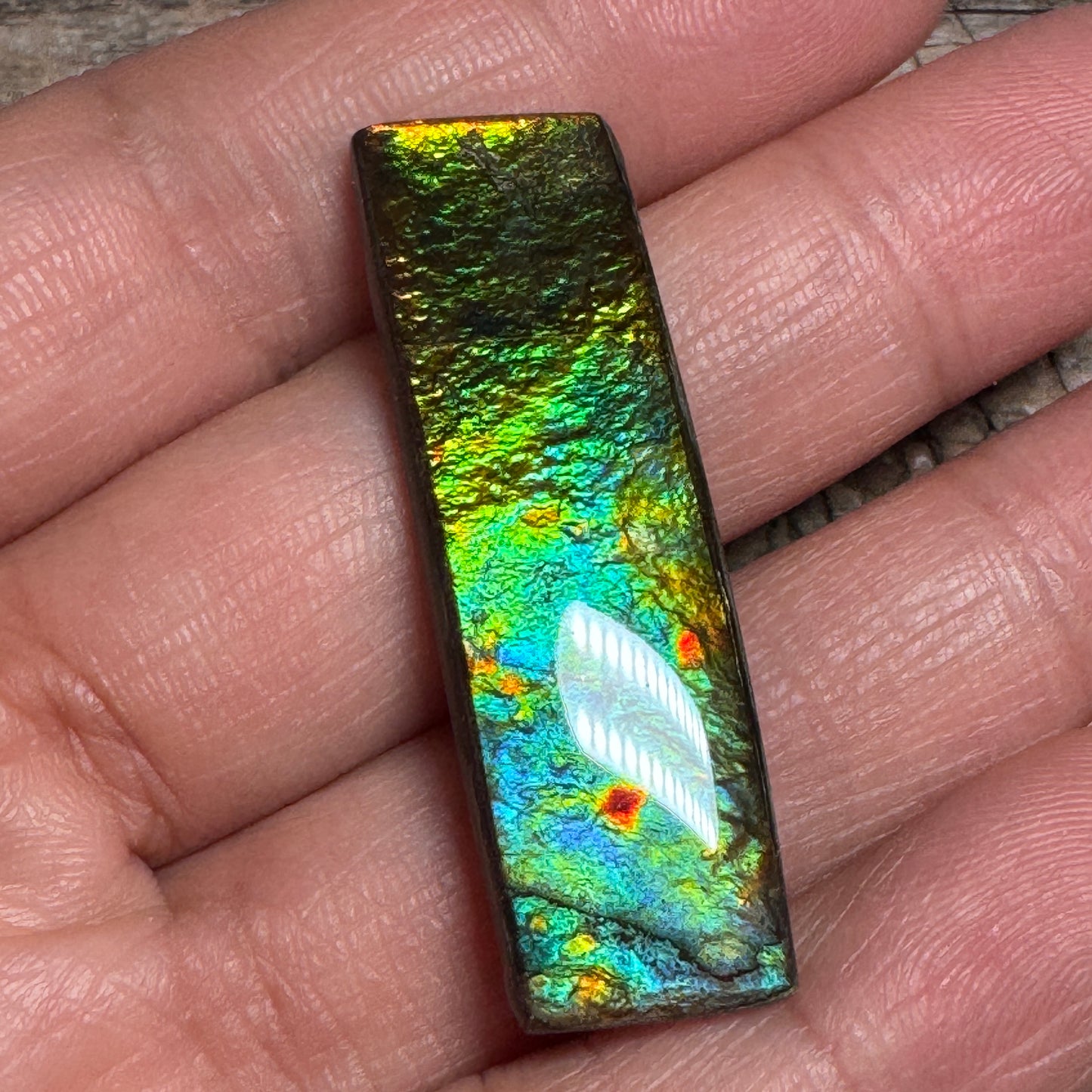 Multicoloured Rectangle Ammolite Cabochon, Genuine Canadian Ammonite