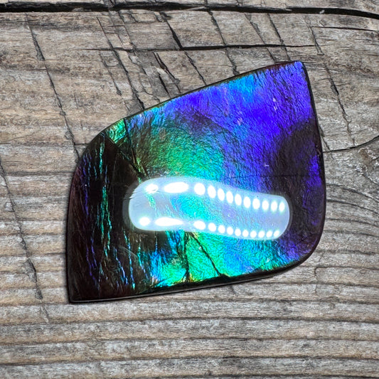 Purple Blue Green Purple Ammolite Gemstone Cabochon Freeform Canadian Ammonite Fossil