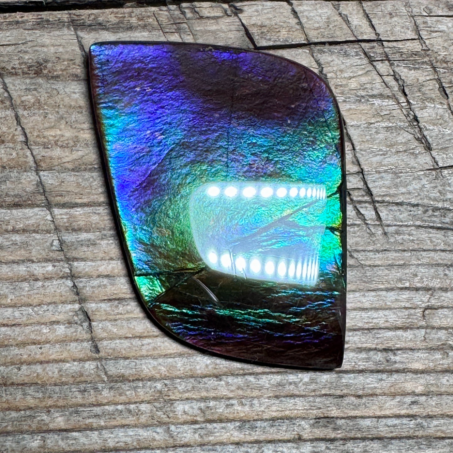 Purple Blue Green Purple Ammolite Gemstone Cabochon Freeform Canadian Ammonite Fossil