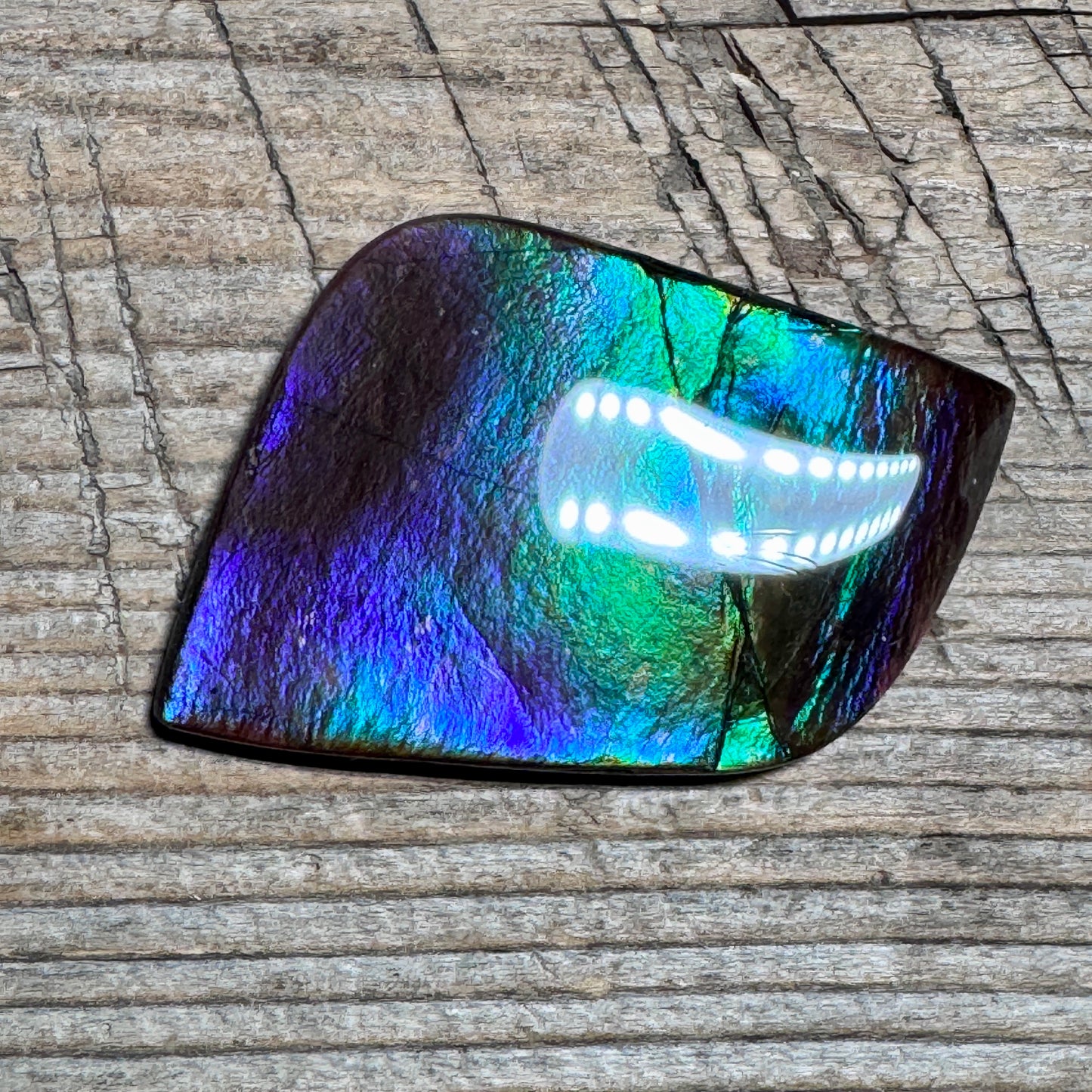 Purple Blue Green Purple Ammolite Gemstone Cabochon Freeform Canadian Ammonite Fossil