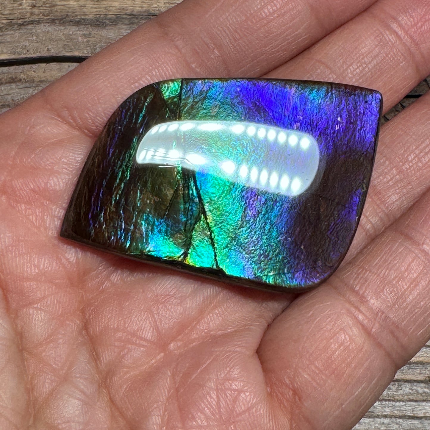 Purple Blue Green Purple Ammolite Gemstone Cabochon Freeform Canadian Ammonite Fossil