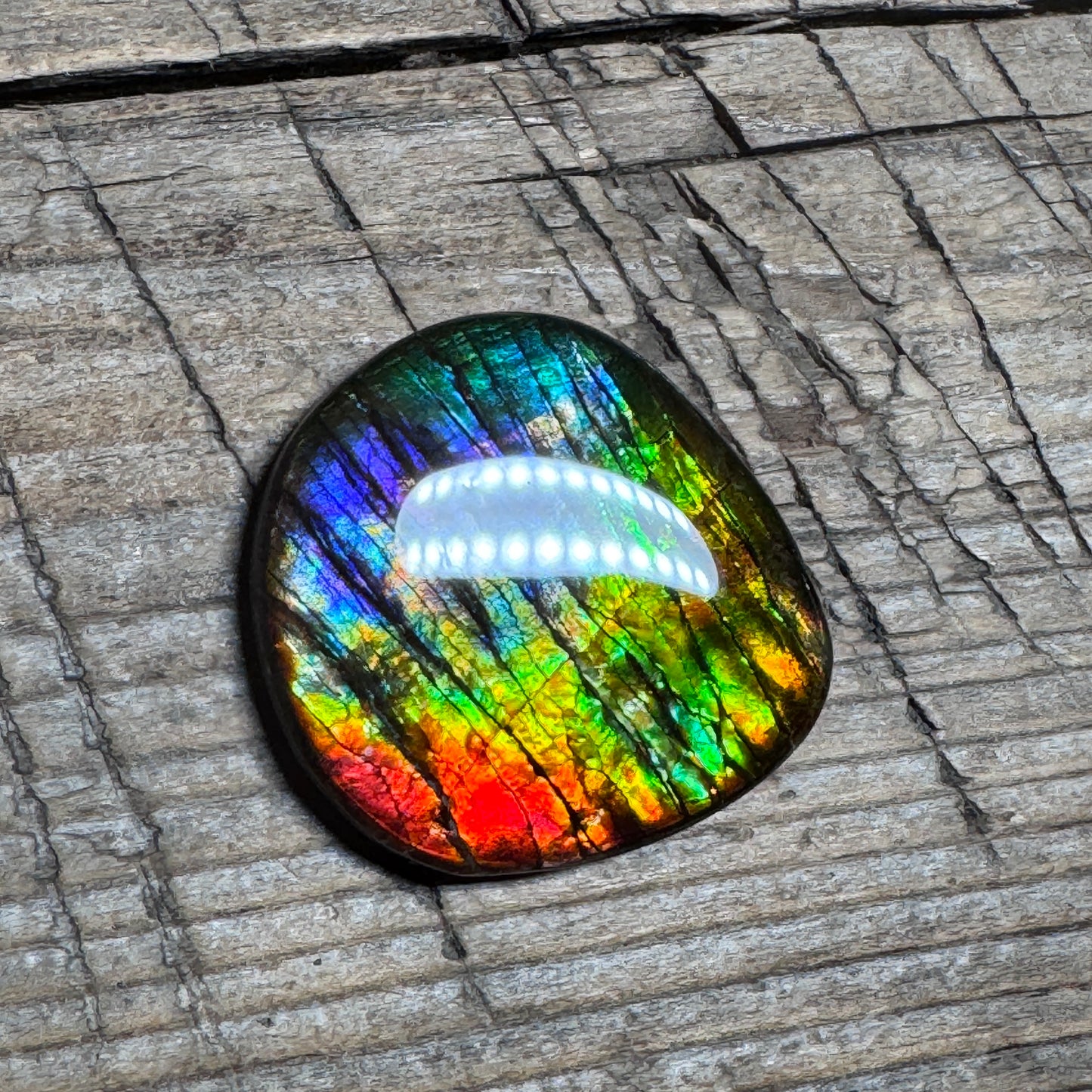 Rainbow Ammolite Freeform Cabochon Coated Natural