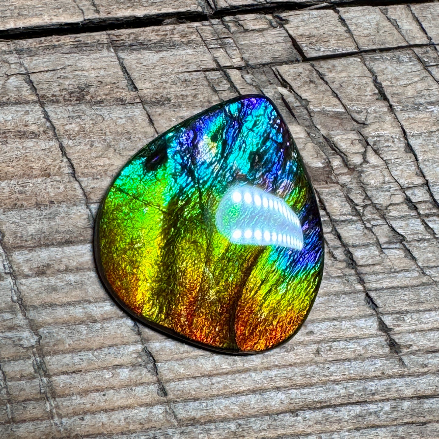 Rainbow Ammolite Freeform Cabochon