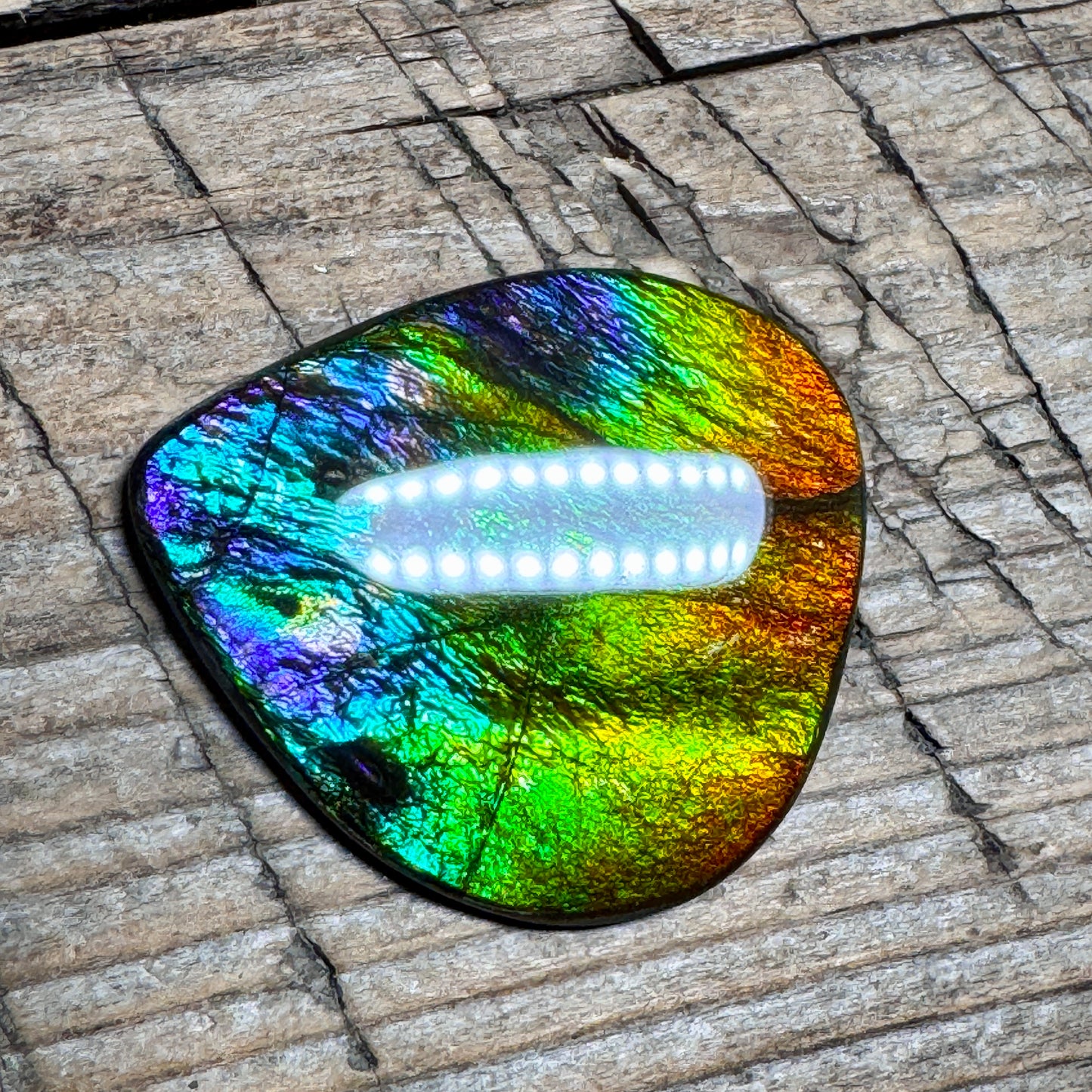 Rainbow Ammolite Freeform Cabochon