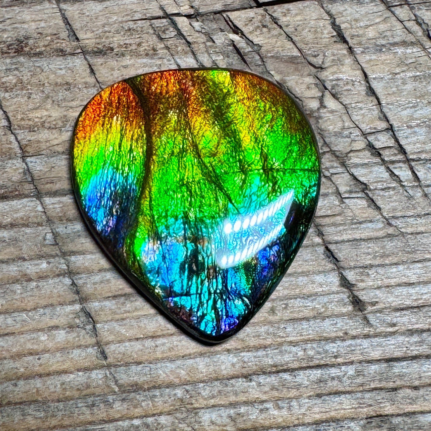 Rainbow Ammolite Freeform Cabochon