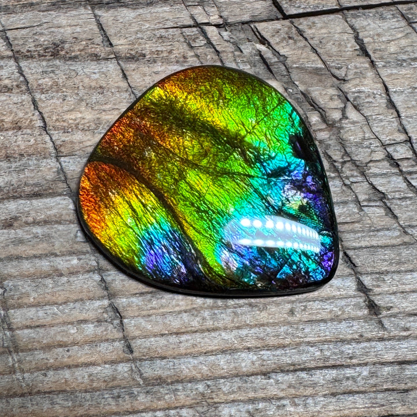 Rainbow Ammolite Freeform Cabochon