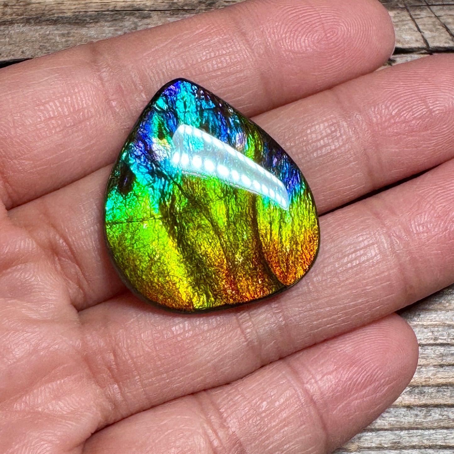 Rainbow Ammolite Freeform Cabochon