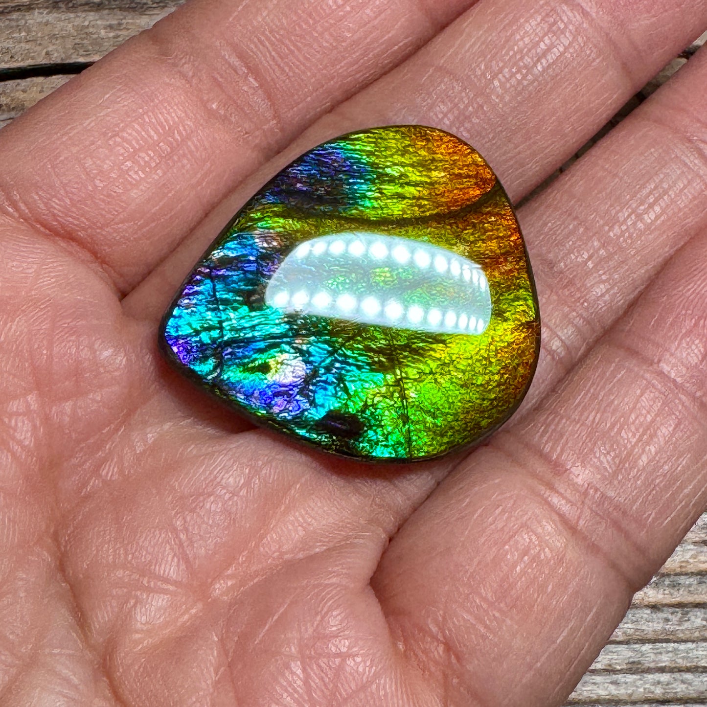 Rainbow Ammolite Freeform Cabochon