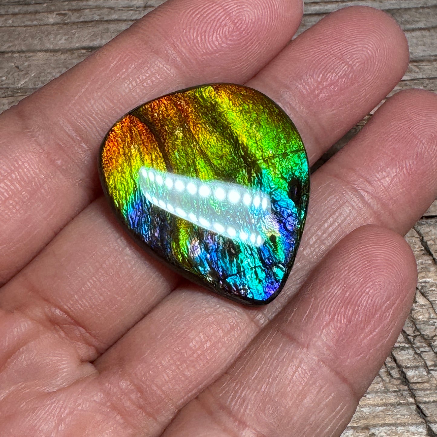 Rainbow Ammolite Freeform Cabochon