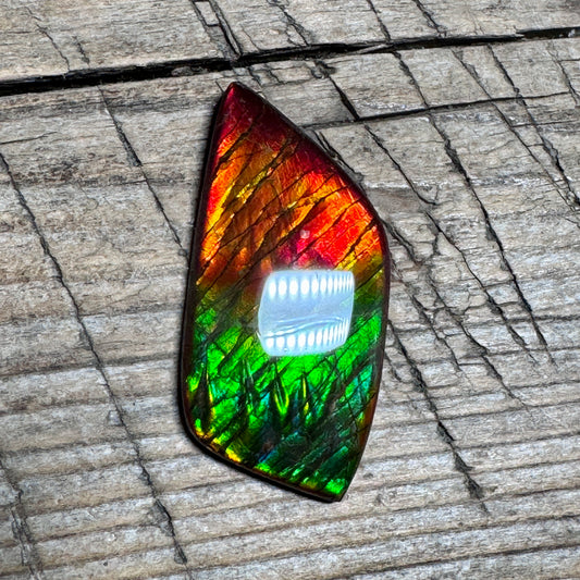 Blue Green Ammolite Gemstone, Freeform Cabochon, Dragon Skin Pattern