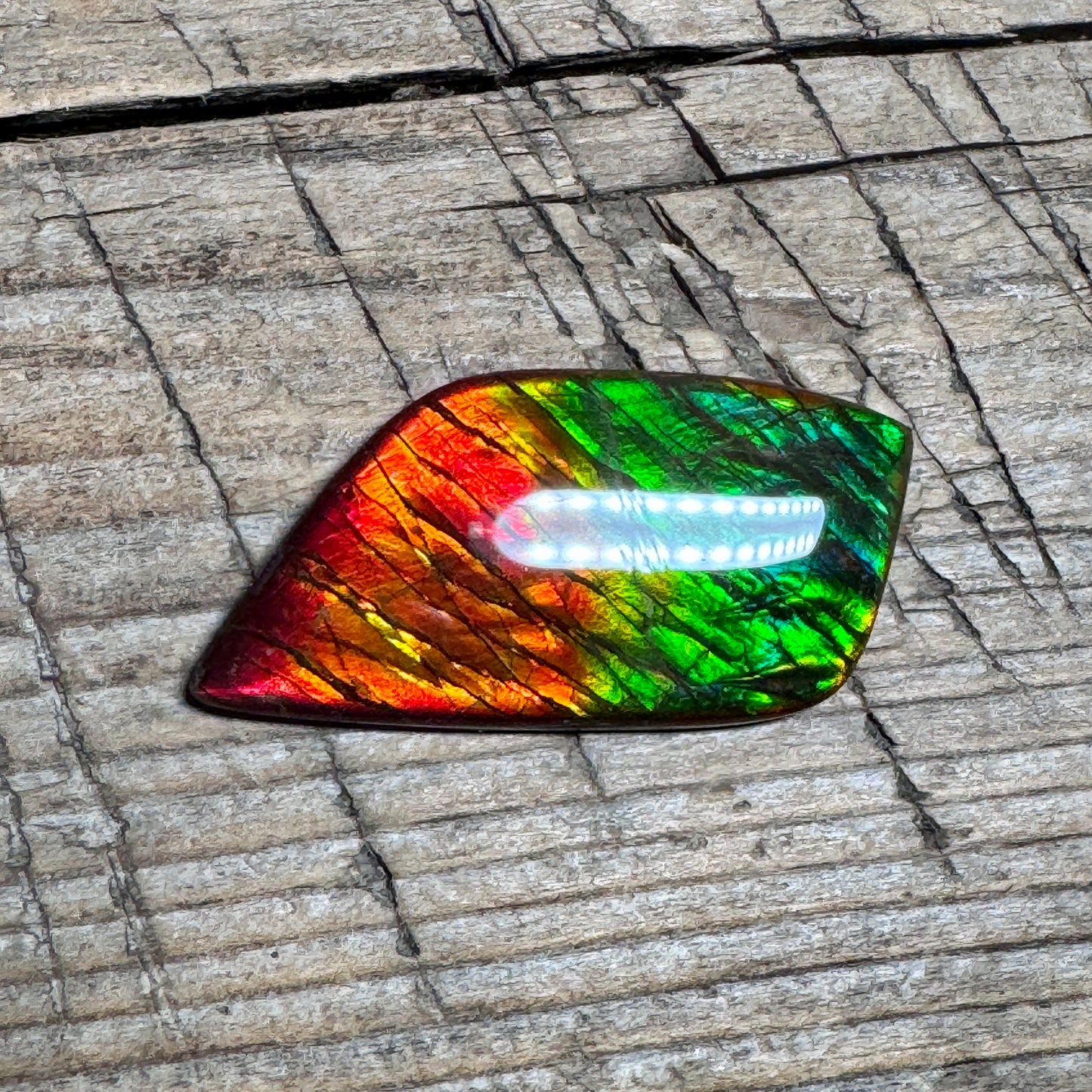 Blue Green Ammolite Gemstone, Freeform Cabochon, Dragon Skin Pattern