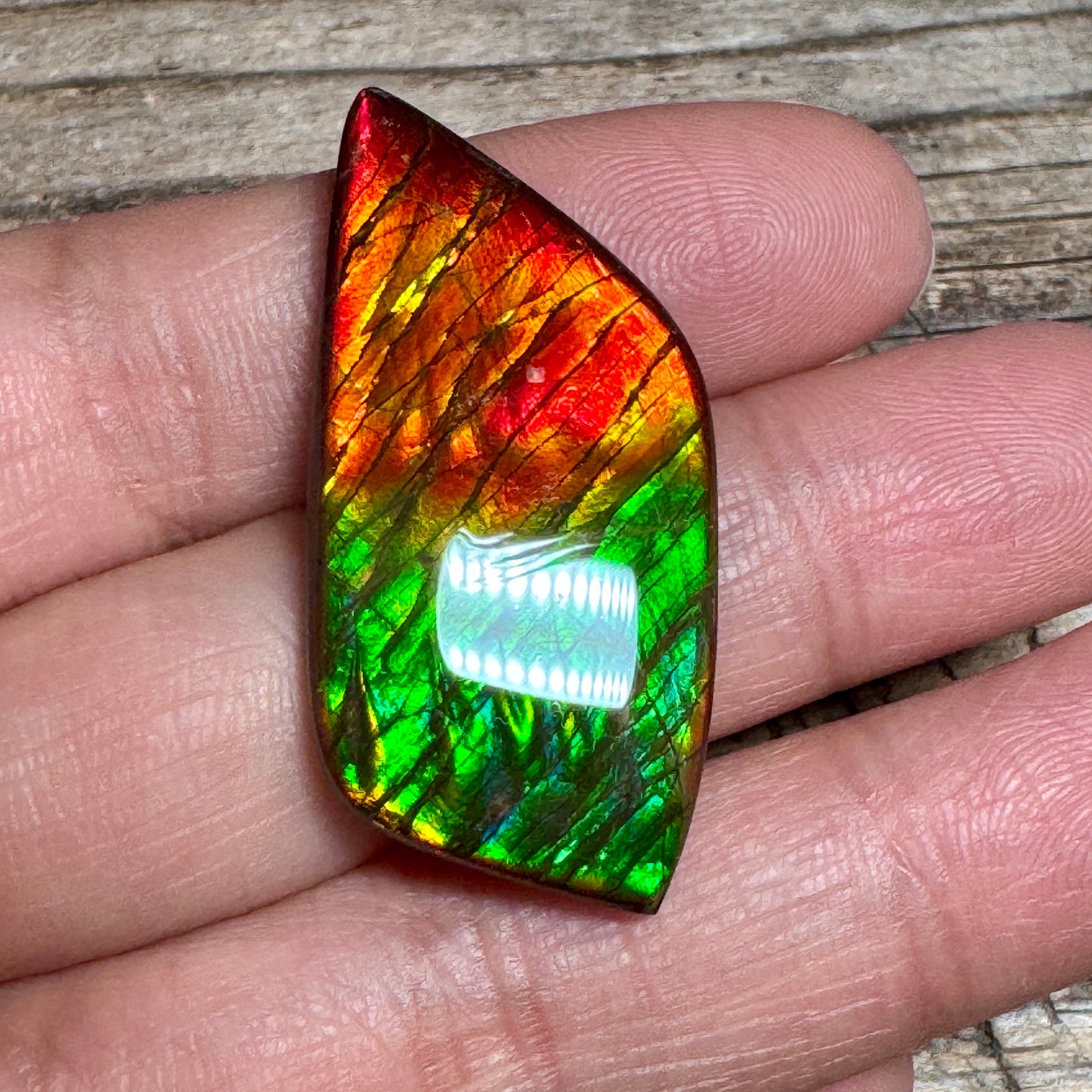 Blue Green Ammolite Gemstone, Freeform Cabochon, Dragon Skin Pattern