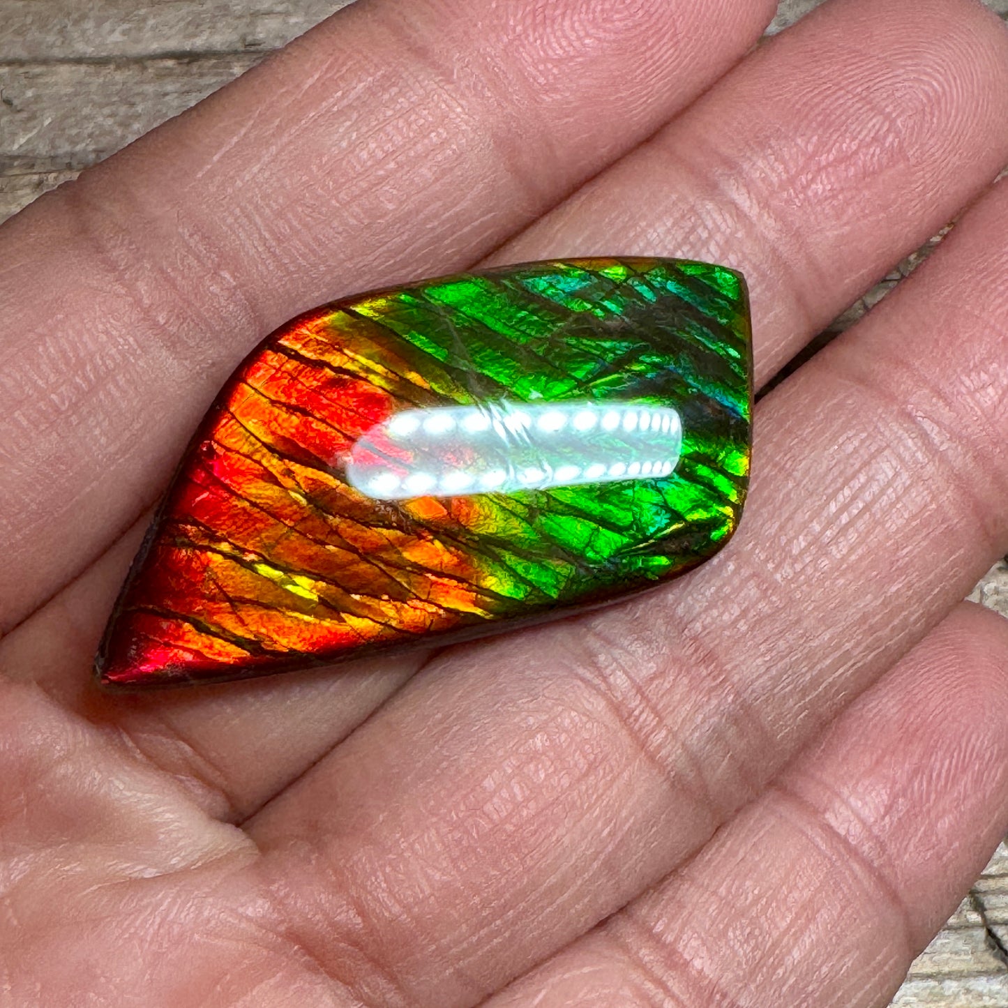 Blue Green Ammolite Gemstone, Freeform Cabochon, Dragon Skin Pattern