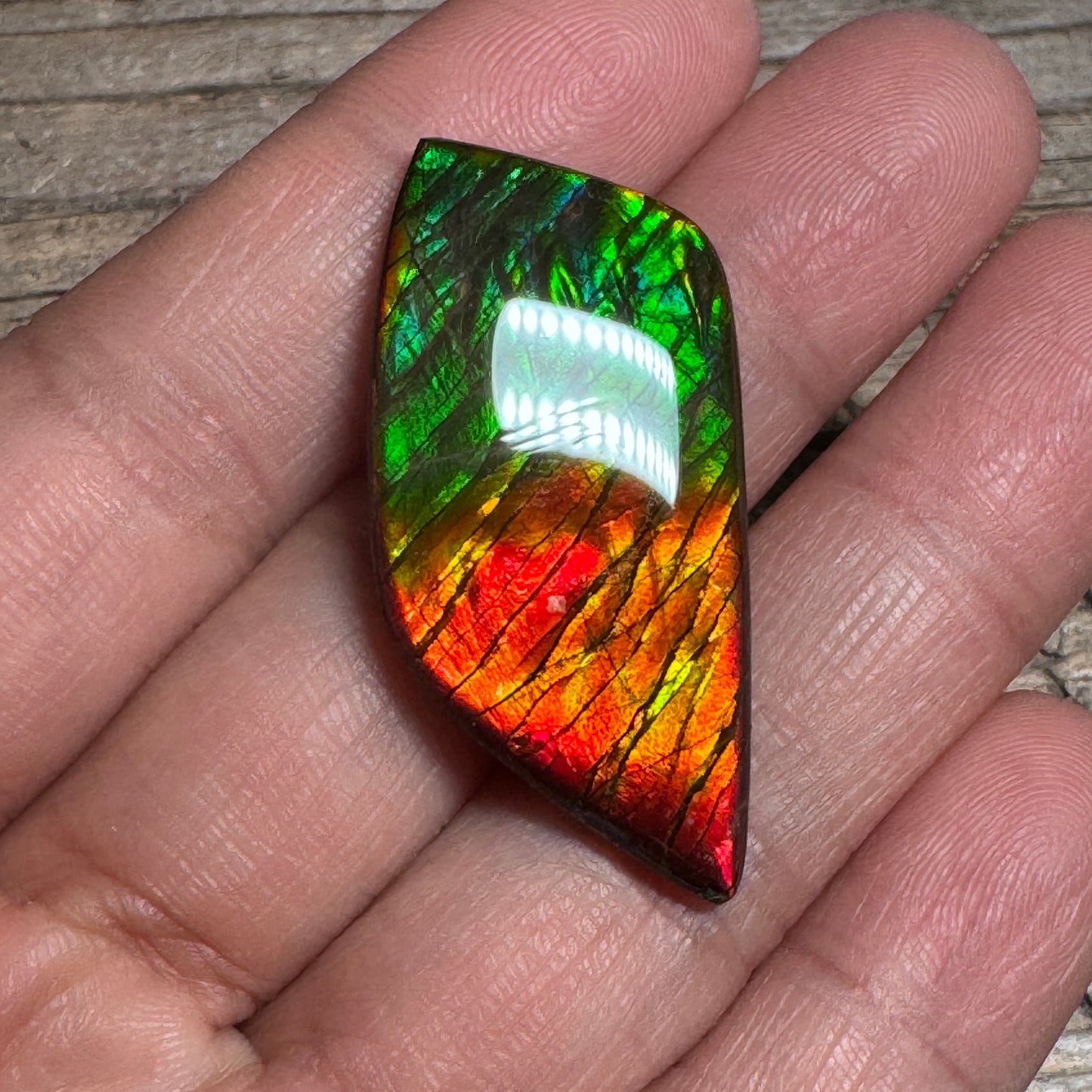 Blue Green Ammolite Gemstone, Freeform Cabochon, Dragon Skin Pattern