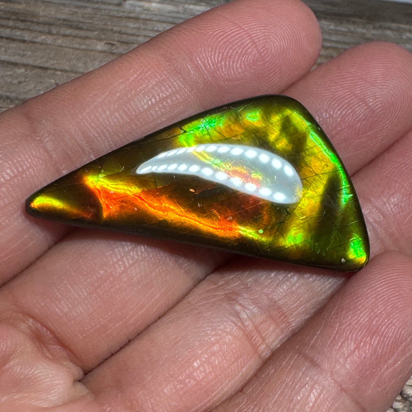 Golden Red Ammolite Cabochon Freeform Naturals