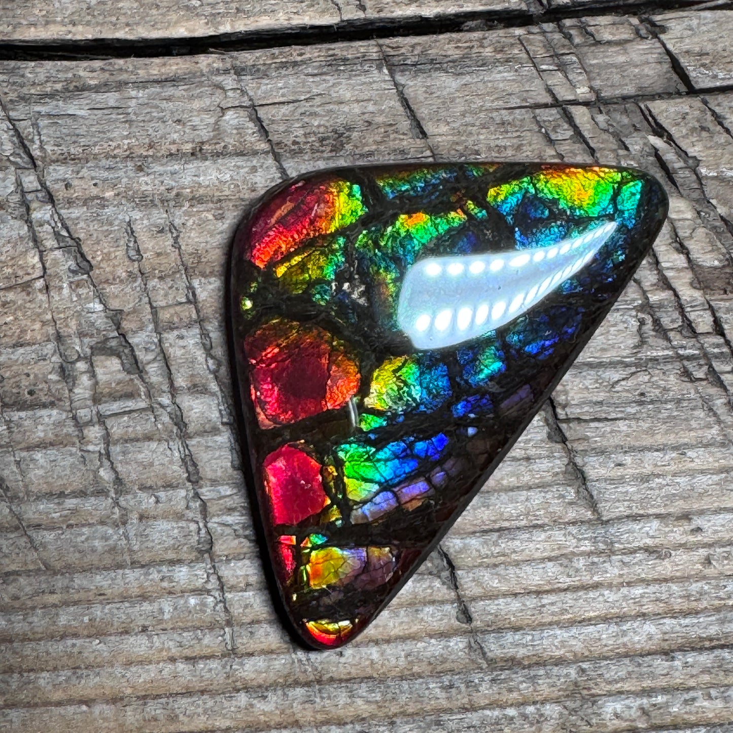 Rare pink Rainbow Ammolite Freeform Cabochon Coated Natural