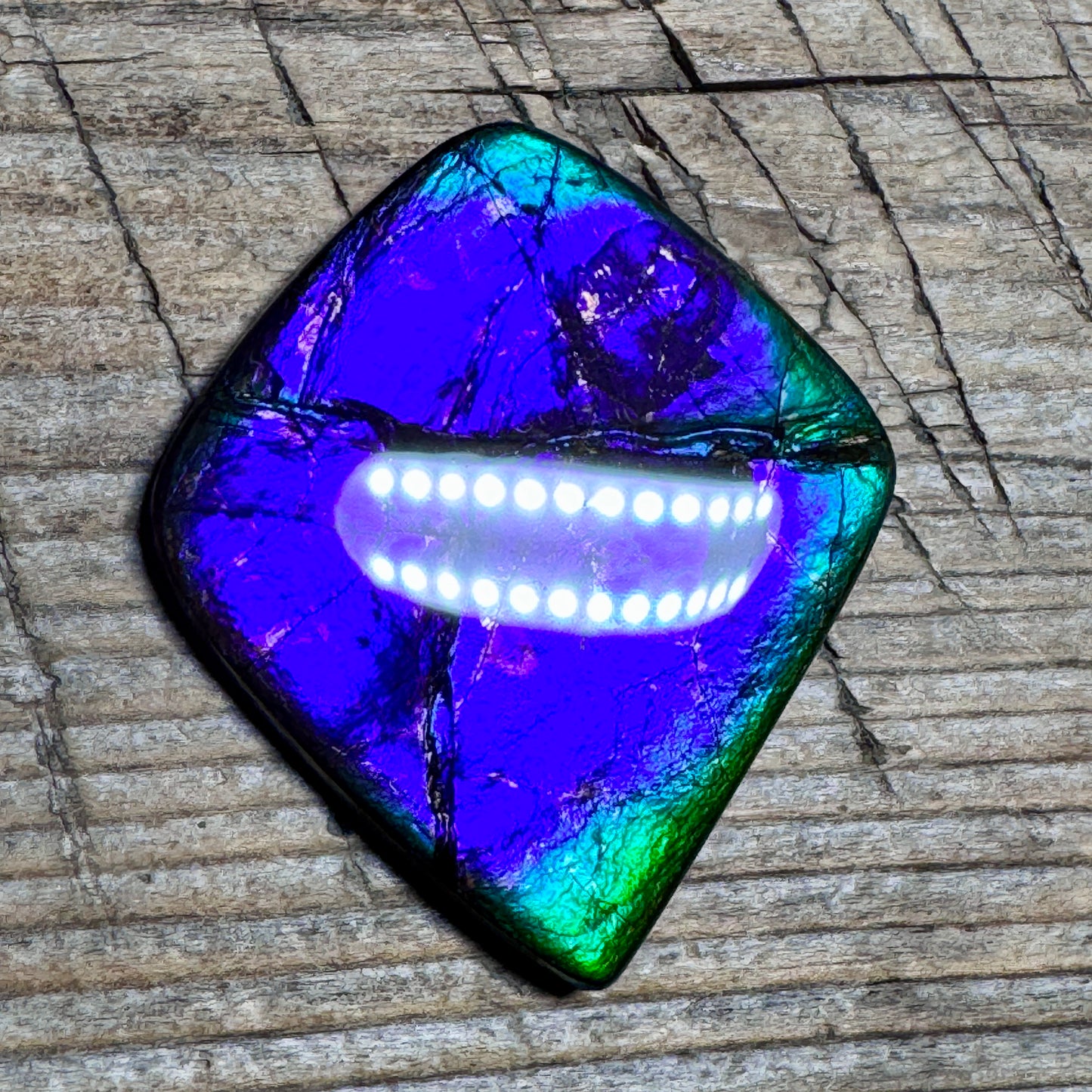 Purple Blue Ammolite Gemstone Cabochon Freeform Canadian Ammonite Fossil
