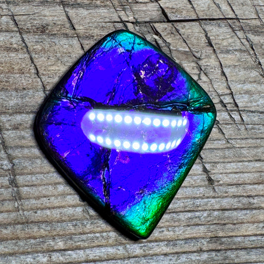 Purple Blue Ammolite Gemstone Cabochon Freeform Canadian Ammonite Fossil