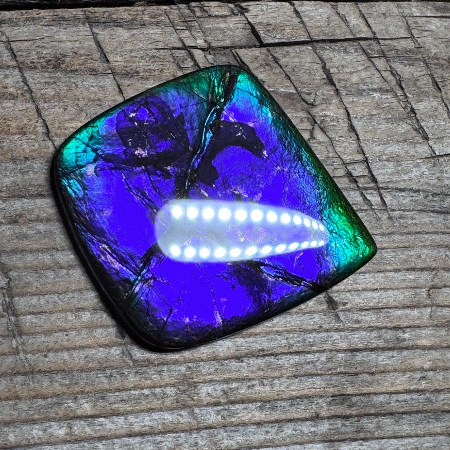 Purple Blue Ammolite Gemstone Cabochon Freeform Canadian Ammonite Fossil