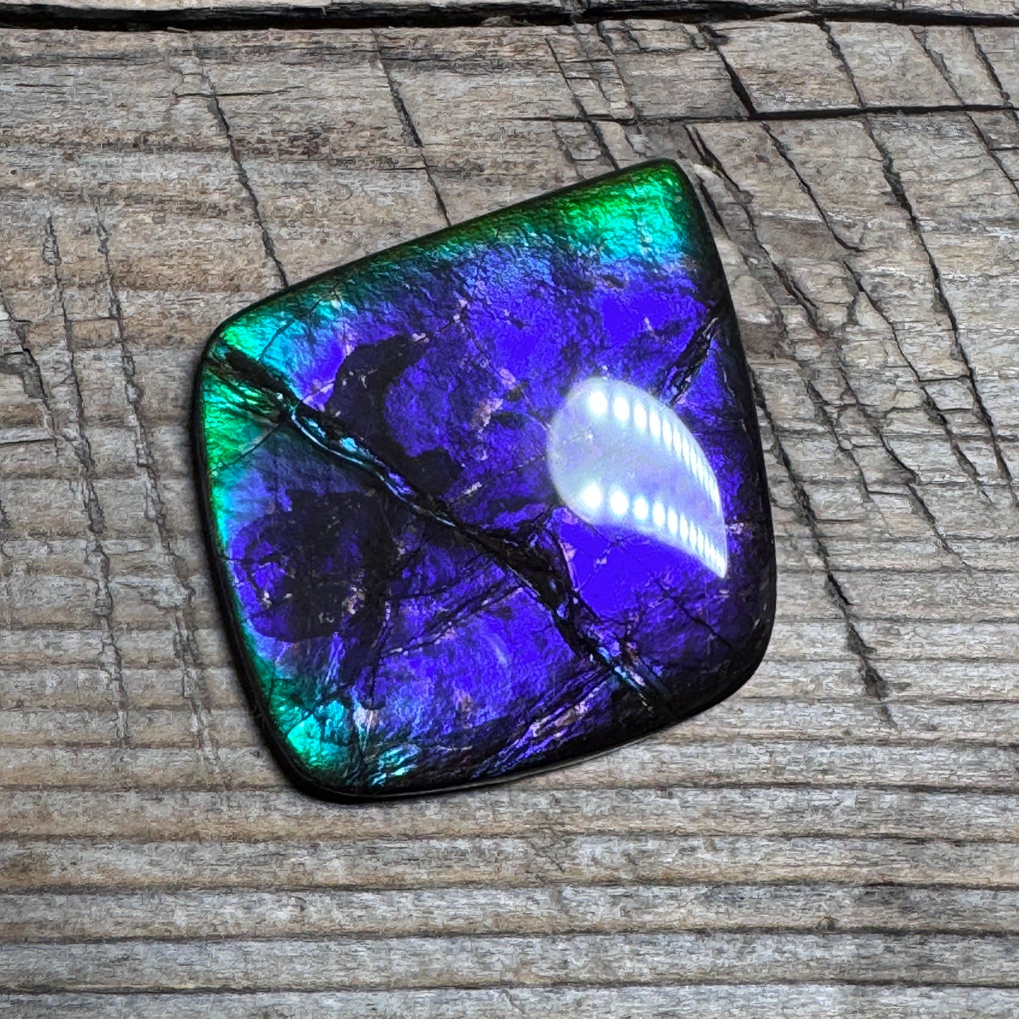 Purple Blue Ammolite Gemstone Cabochon Freeform Canadian Ammonite Fossil