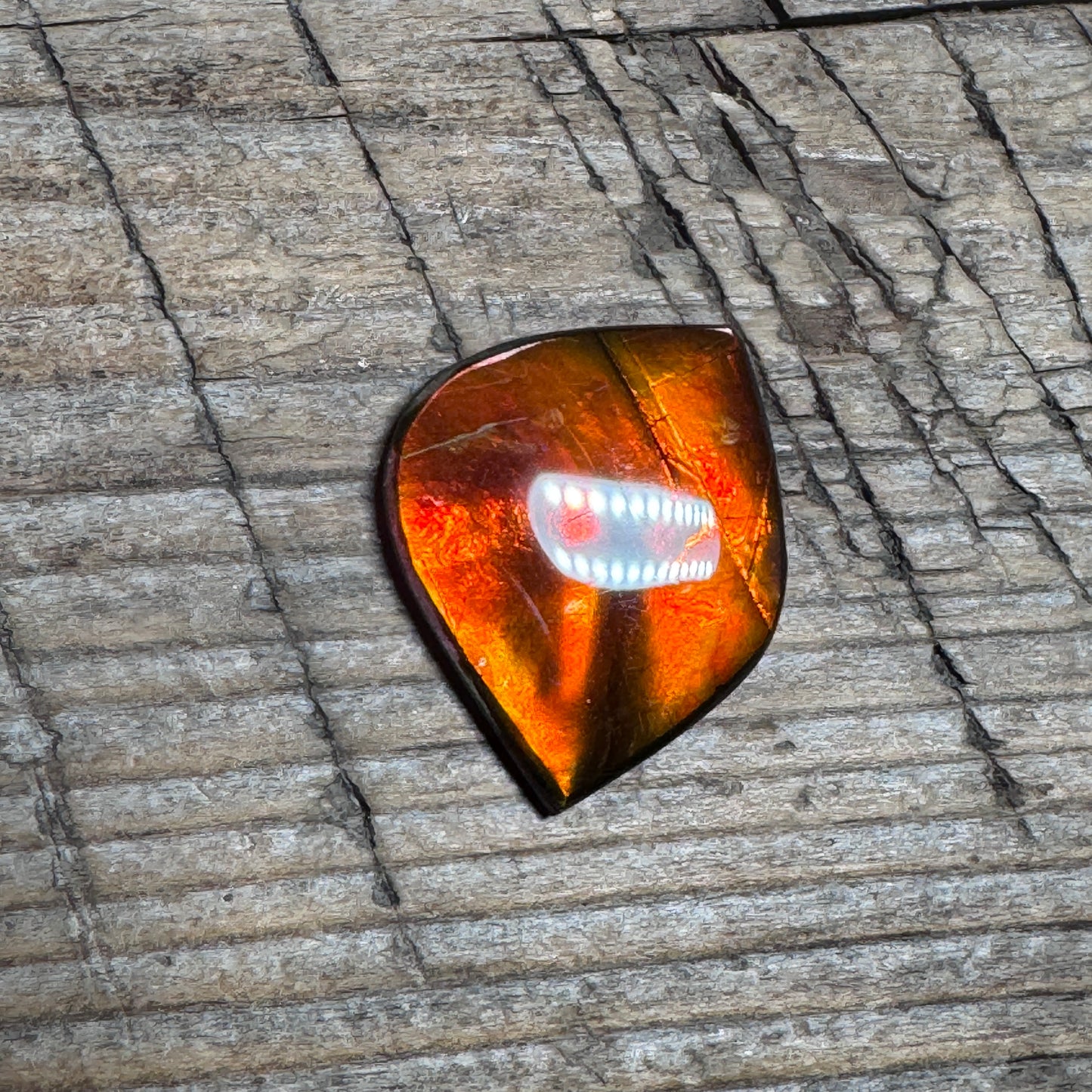 Red Gold Ammolite Cabochon, Loose Gemstone, Genuine Canadian Ammonite