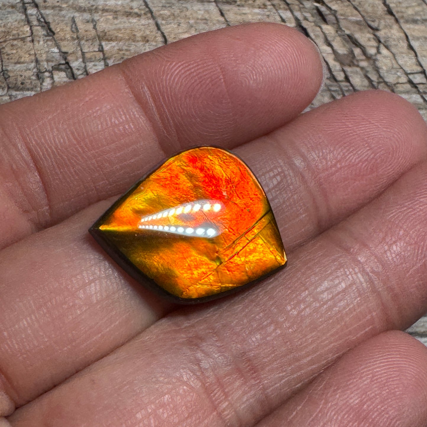 Red Gold Ammolite Cabochon, Loose Gemstone, Genuine Canadian Ammonite