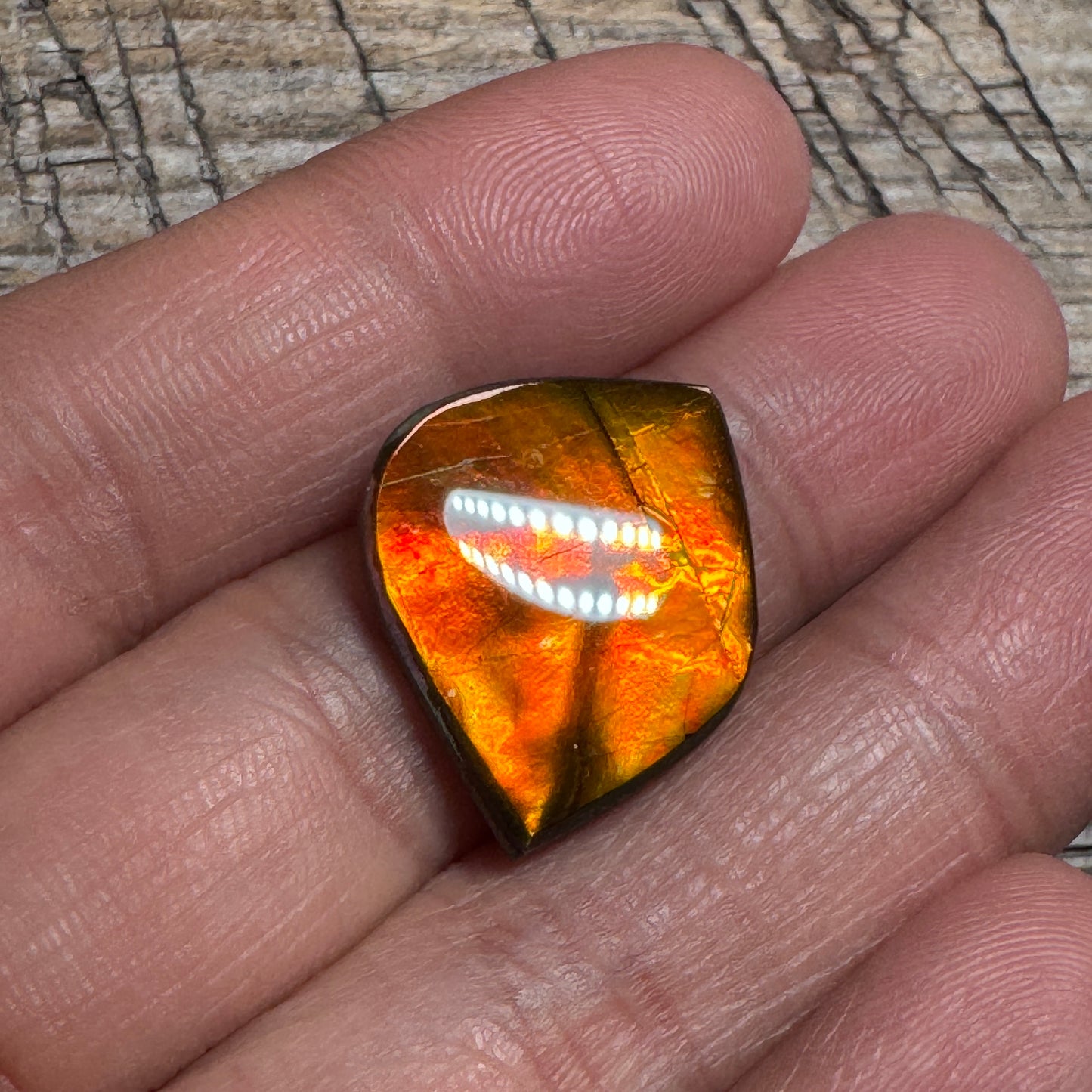 Red Gold Ammolite Cabochon, Loose Gemstone, Genuine Canadian Ammonite