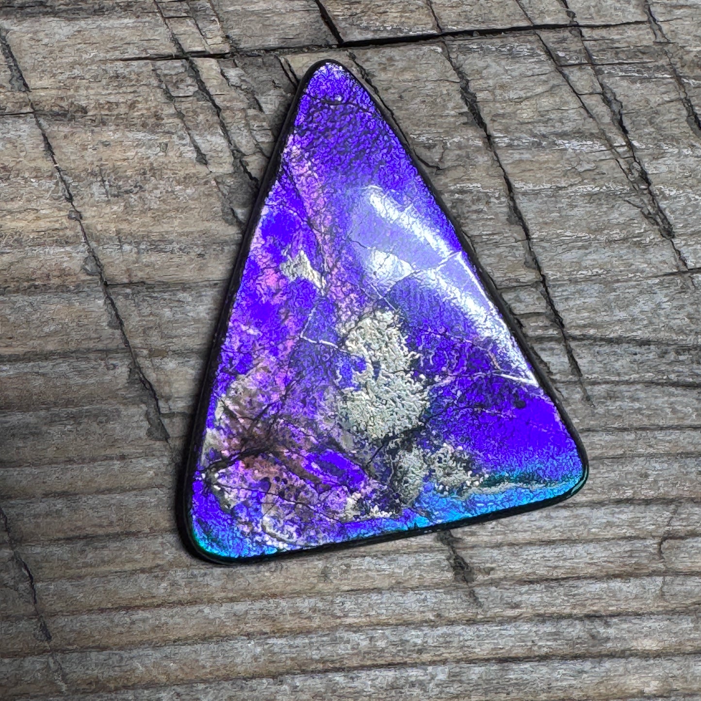 Polished Purple Ammolite Gemstone Cabochon Freeform Canadian Ammonite Fossil