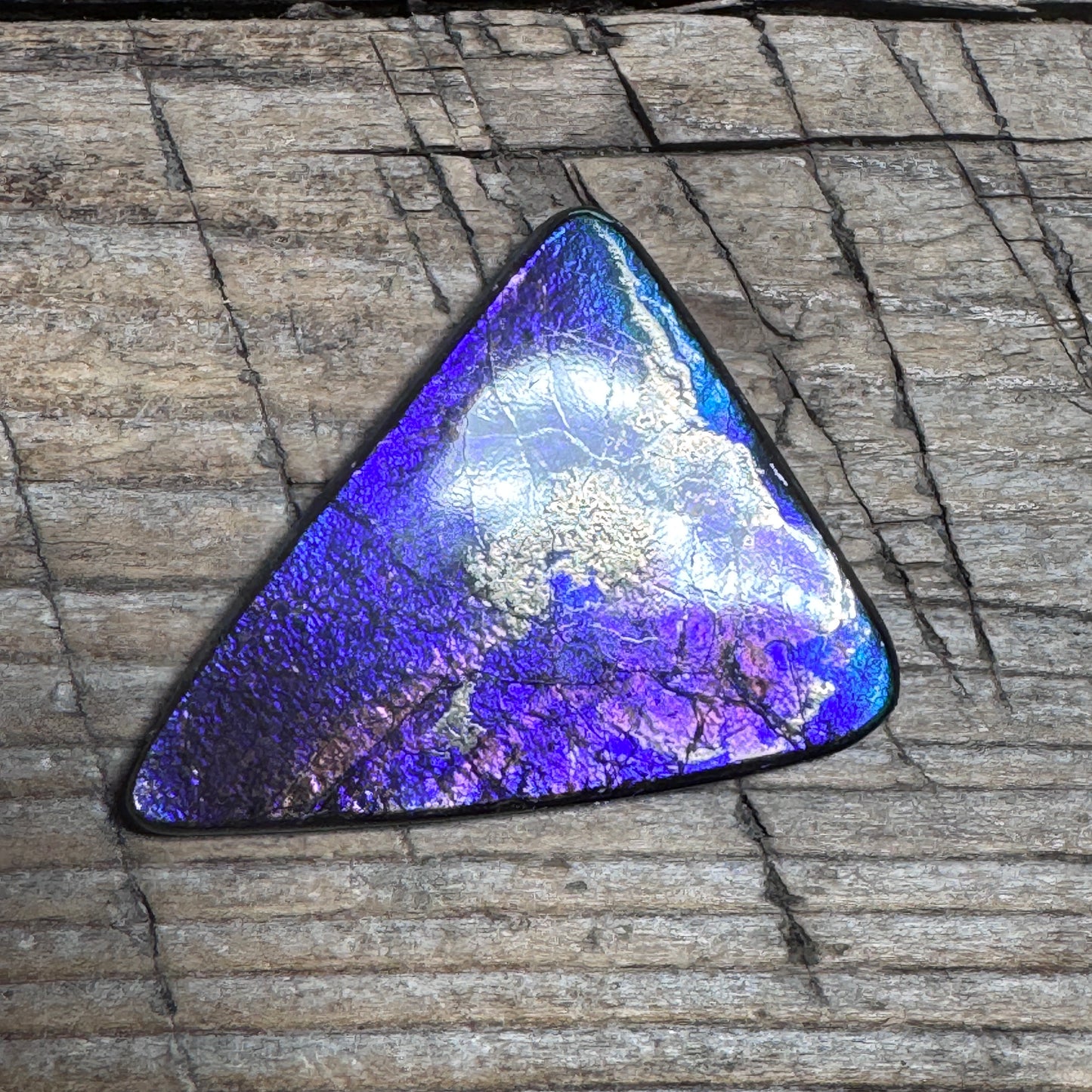 Polished Purple Ammolite Gemstone Cabochon Freeform Canadian Ammonite Fossil