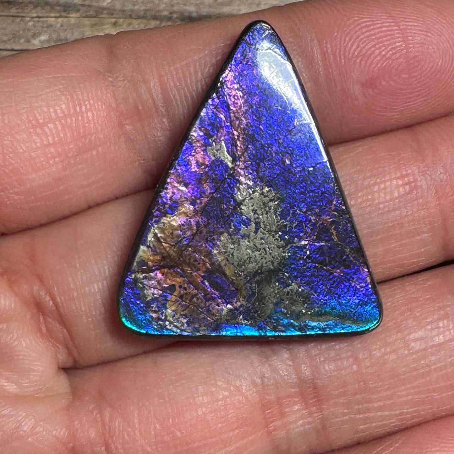 Polished Purple Ammolite Gemstone Cabochon Freeform Canadian Ammonite Fossil