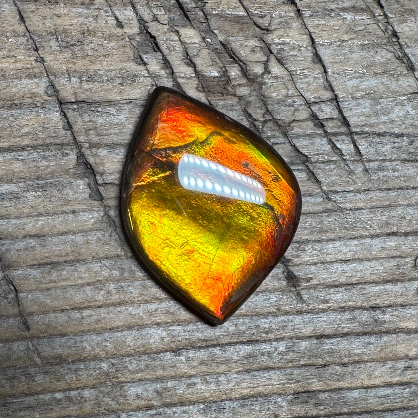Orange Gold Ammolite Cabochon, Loose Gemstone, Genuine Canadian Ammonite