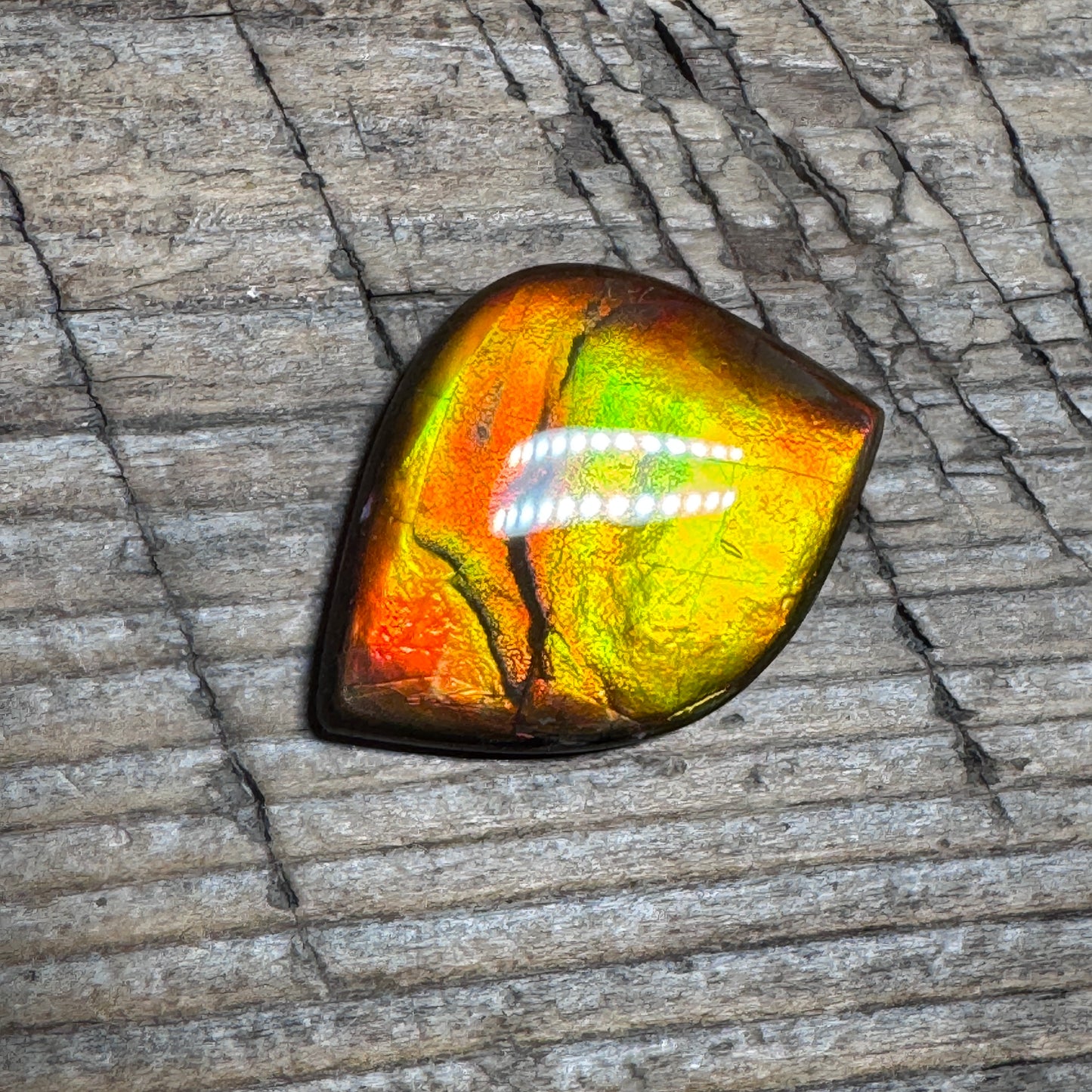 Orange Gold Ammolite Cabochon, Loose Gemstone, Genuine Canadian Ammonite