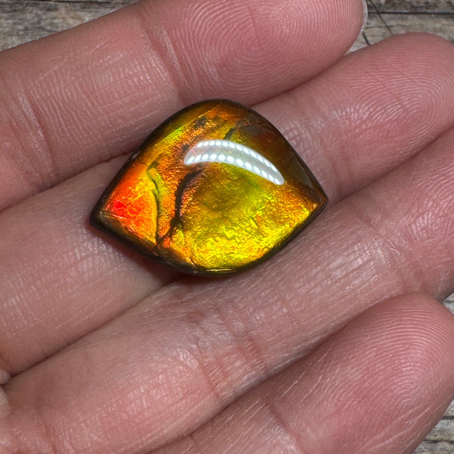 Orange Gold Ammolite Cabochon, Loose Gemstone, Genuine Canadian Ammonite