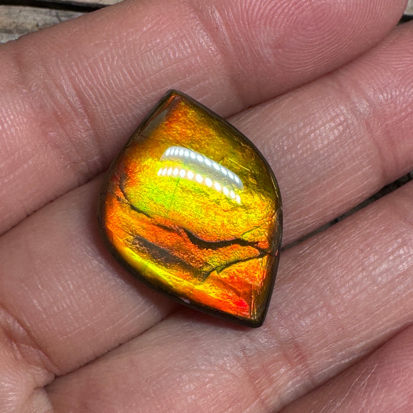 Orange Gold Ammolite Cabochon, Loose Gemstone, Genuine Canadian Ammonite