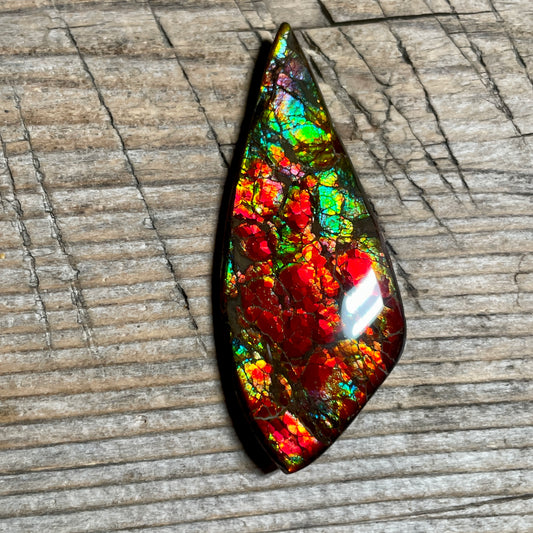 Bright Dragon Skin Ammolite Gemstone Cabochon Freeform Canadian Ammonite Fossil